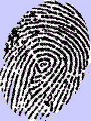 biometric fingerprint recognition