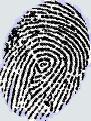 biometric fingerprint and face recognition